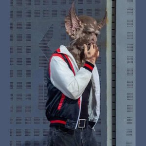Guardians Of The Galaxy 3 Bat Varsity Jacket